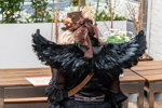 Aethercircus Steampunk Festival 2025 in Buxtehude